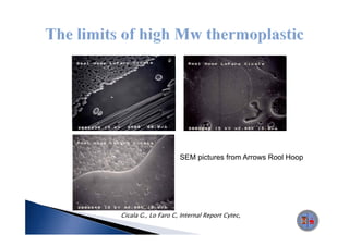 SEM pictures from Arrows Rool Hoop




Cicala G., Lo Faro C, Internal Report Cytec, 2001.
 