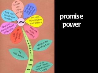 promise power 
