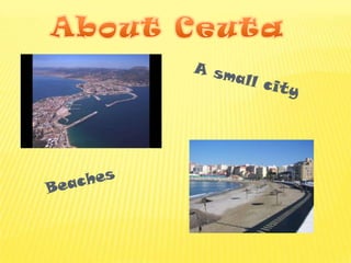Pecha kucha2