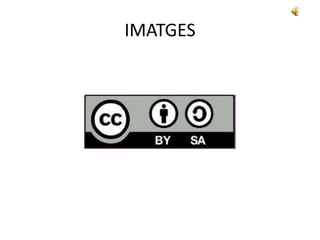 IMATGES
 