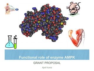 Functional role of enzyme AMPK
April Irums
GRANT PROPOSAL
 