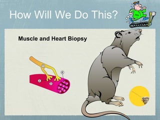 Muscle and Heart Biopsy
 