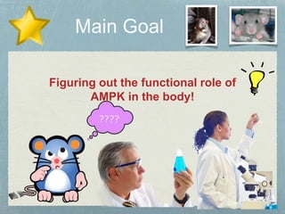 Figuring out the functional role of
AMPK in the body!
 