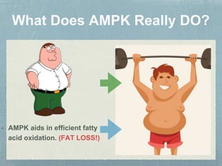 • AMPK aids in efficient fatty
acid oxidation. (FAT LOSS!)
 