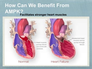 Activated with exercise
Facilitates stronger heart muscles
 
