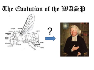 The Evolution of the WASP


             ?
 