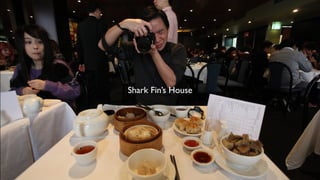 Shark Fin’s House
 