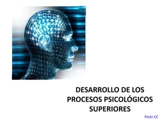 DESARROLLO DE LOS
PROCESOS PSICOLÓGICOS
SUPERIORES
Flickr CC
 
