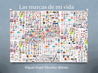 Las marcas de mi vida

Miguel Angel Sánchez Blanes

 