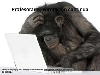 Profesorado: Formación continua




Chimpanzee playing with a laptop © Patriziasoliani (http://www.flickr.com/photos/55524309@N05/5378314720/)
CC BY-NC 2.0
 