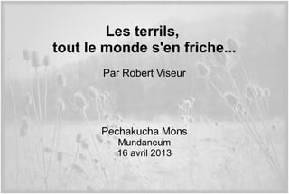 Les terrils,
tout le monde s'en friche...
Par Robert Viseur
Pechakucha Mons
Mundaneum
16 avril 2013
 