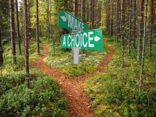 Capacité a faire des choix
 