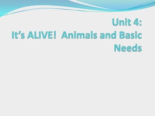 Unit 4: It’s ALIVE!  Animals and Basic Needs 