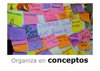 Organiza en conceptos