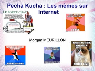 Pecha Kucha : Les mèmes sur
          Internet



       Morgan MEURILLON
 