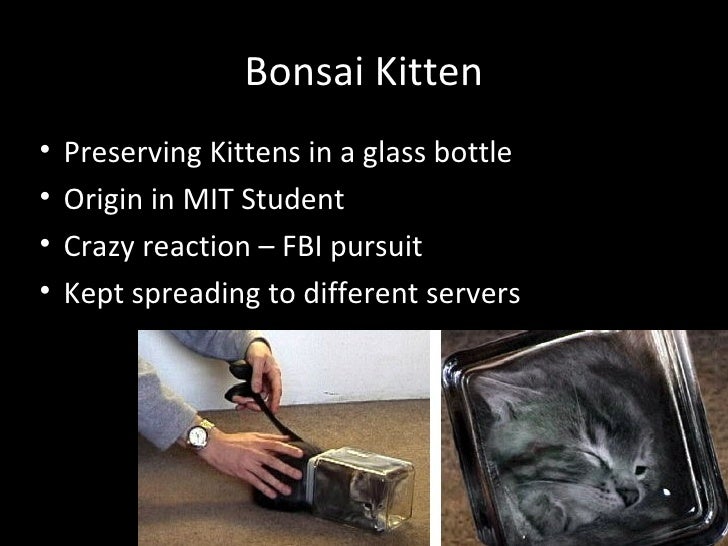 Johann Schwella Uno Dewaal Pecha Kucha South Africa Between 10 And 5