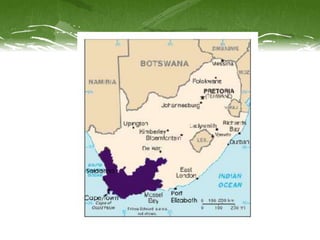 Pecha kucha presentation