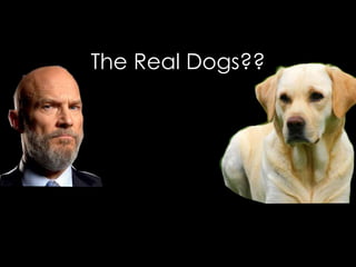 The Real Dogs?? 
