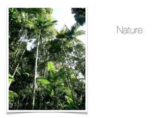 Nature
 