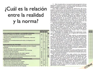 ¿Cuál es la relación entre la realidad y la norma? i COBAE 