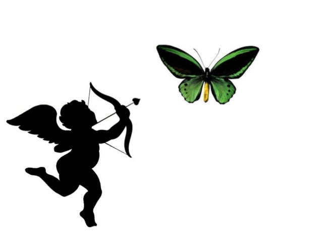 Resultado de imagen para Cómo se van las horas, y tras ellas los dÃas, y los floridos años de nuestra frágil vida! La vejez luego viene del amor enemiga, y entre fúnebres sombras la muerte se avecina, que escuálida y temblando, fea, informe, amarilla, nos aterra, y apaga nuestros fuegos y dichas