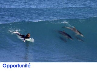 Opportunité