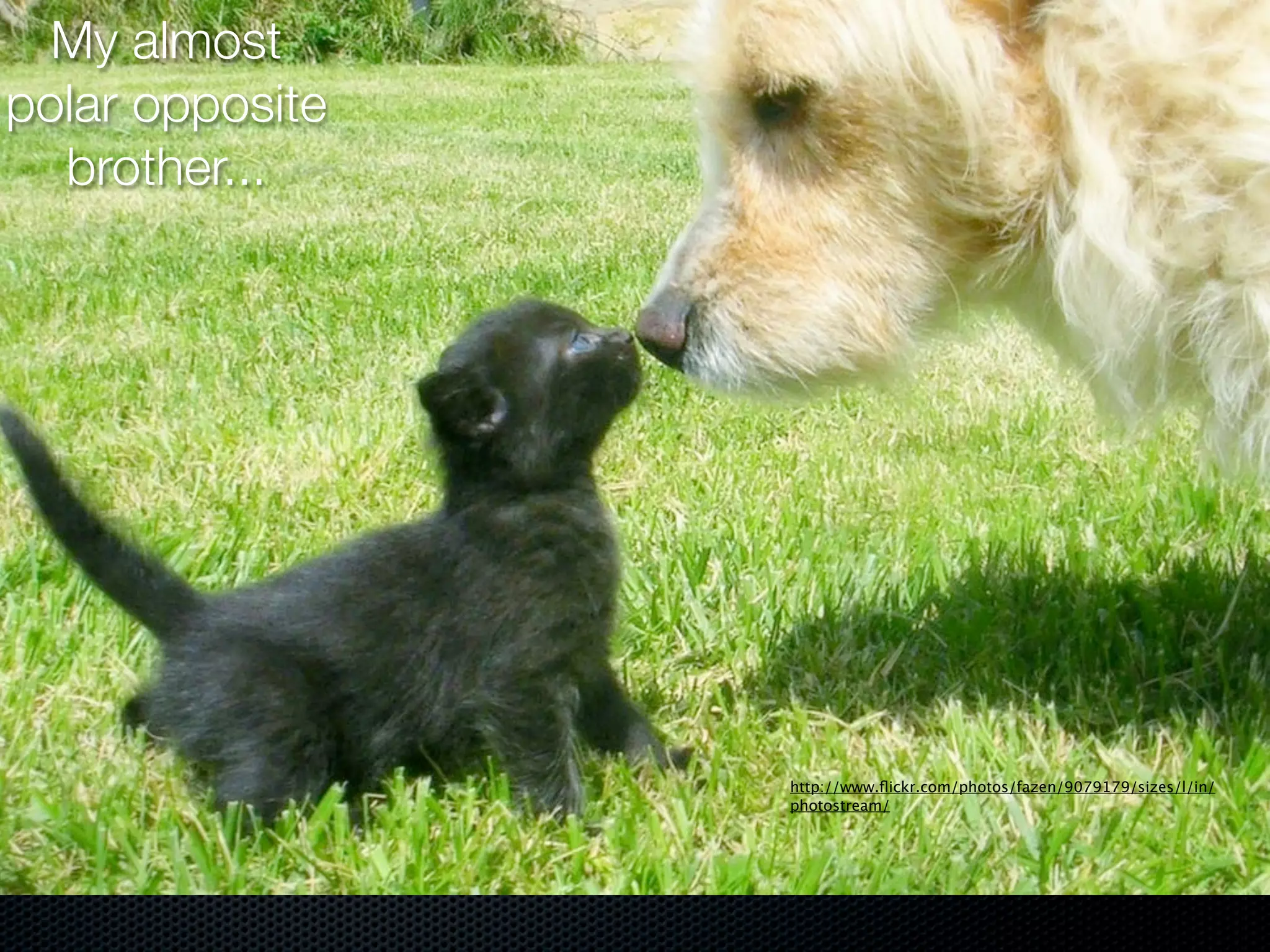 My almost
polar opposite
  brother...




                 http://www.ﬂickr.com/photos/fazen/9079179/sizes/l/in/
                 photostream/
 