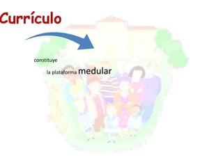 constituye 
la plataforma medular 
 