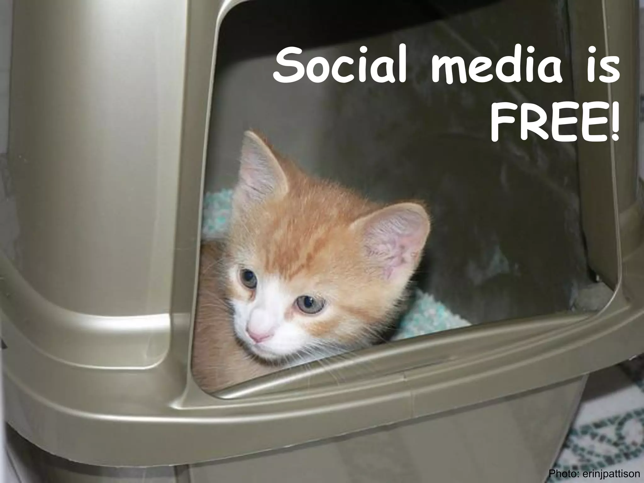 Social media is
         FREE!




           Photo: erinjpattison
 