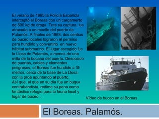 El verano de 1985 la Policía Española
interceptó el Boreas con un cargamento
de 600 kg de droga. Tras su captura, fue
atracado a un muelle del puerto de
Palamós. A finales de 1988, dos centros
de buceo locales lograron el permiso
para hundirlo y convertirlo en nuevo
hábitat submarino. El lugar escogido fue
la Llosa de Palamós, a menos de una
milla de la bocana del puerto. Despojado
de puertas, cables y elementos
peligrosos, el Boreas fue hundido a 30
metros, cerca de la base de La Llosa,
con la proa apuntando al puerto.
Así que, el que en su día fue un buque
contrabandista, redime su pena como
fantástico refugio para la fauna local y
lugar de buceo .
Vídeo de buceo en el Boreas

El Boreas. Palamós.

 