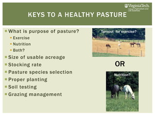 benefits of paddock grazing at rose briggs blog Images... Introduction to Horse Paddock Grazing Systems by Dr. Bridgett McIntosh ...