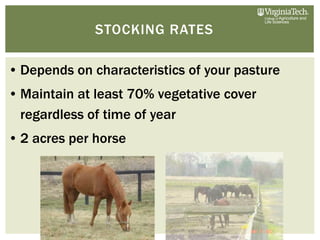 Pasture Stocking Rates Introduction to Horse Paddock Grazing Systems by Dr. Bridgett McIntosh ...