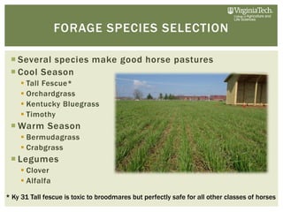 benefits of paddock grazing at rose briggs blog Images... Introduction to Horse Paddock Grazing Systems by Dr. Bridgett McIntosh ...