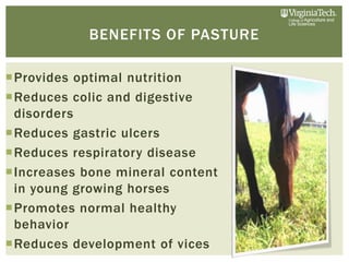benefits of paddock grazing at rose briggs blog Images... Introduction to Horse Paddock Grazing Systems by Dr. Bridgett McIntosh ...