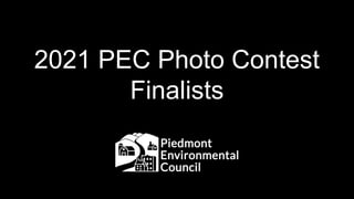 2021 PEC Photo Contest
Finalists
 