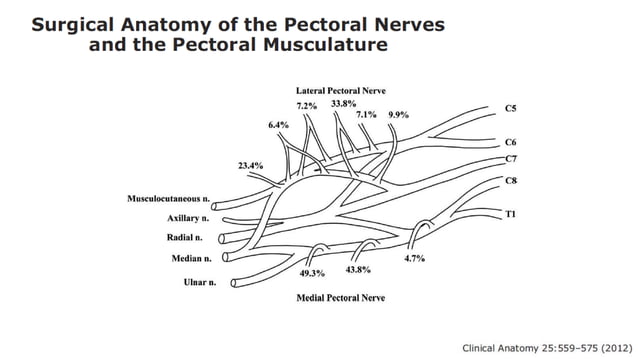 Pecs block, serratus plane block with literature review when and how | PPT