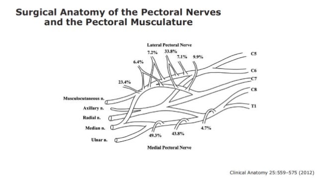 Pecs block, serratus plane block with literature review when and how