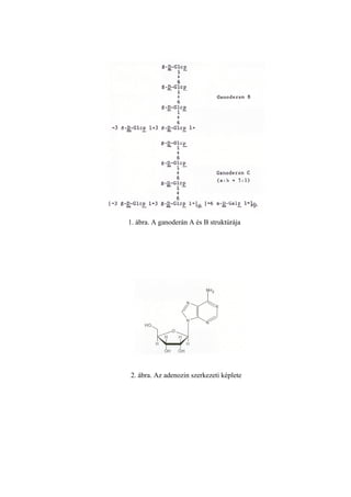 1. ábra. A ganoderán A és B struktúrája




2. ábra. Az adenozin szerkezeti képlete
 