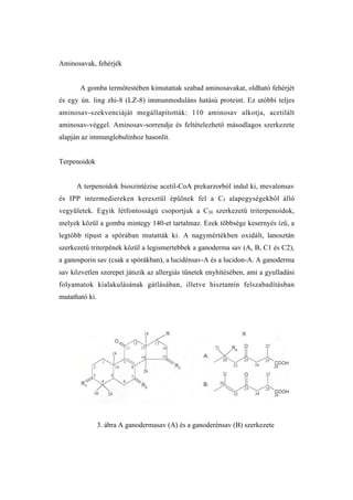 Aminosavak, fehérjék


       A gomba termőtestében kimutattak szabad aminosavakat, oldható fehérjét
és egy ún. ling zhi-8 (LZ-8) immunmoduláns hatású proteint. Ez utóbbi teljes
aminosav-szekvenciáját megállapították: 110 aminosav alkotja, acetilált
aminosav-véggel. Aminosav-sorrendje és feltételezhető másodlagos szerkezete
alapján az immunglobulinhoz hasonlít.


Terpenoidok


      A terpenoidok bioszintézise acetil-CoA prekurzorból indul ki, mevalonsav
és IPP intermediereken keresztül épülnek fel a C5 alapegységekből álló
vegyületek. Egyik létfontosságú csoportjuk a C30 szerkezetű triterpenoidok,
melyek közül a gomba mintegy 140-et tartalmaz. Ezek többsége kesernyés ízű, a
legtöbb típust a spórában mutatták ki. A nagymértékben oxidált, lanosztán
szerkezetű triterpének közül a legismertebbek a ganoderma sav (A, B, C1 és C2),
a ganosporin sav (csak a spórákban), a lucidénsav-A és a lucidon-A. A ganoderma
sav közvetlen szerepet játszik az allergiás tünetek enyhítésében, ami a gyulladási
folyamatok kialakulásának gátlásában, illetve hisztamin felszabadításban
mutatható ki.




                3. ábra A ganodermasav (A) és a ganoderénsav (B) szerkezete
 
