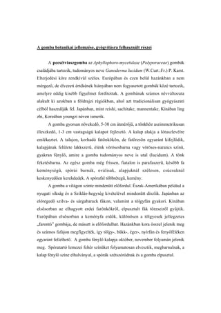 A gomba botanikai jellemzése, gyógyításra felhasznált részei


      A pecsétviaszgomba az Aphyllophoro-mycetideae (Polyporaceae) gombák
családjába tartozik, tudományos neve Ganoderma lucidum (W.Curt.:Fr.) P. Karst.
Elterjedési köre rendkívül széles. Európában és ezen belül hazánkban a nem
mérgező, de élvezeti értékének hiányában nem fogyasztott gombák közé tartozik,
amelyre eddig kisebb figyelmet fordítottak. A gombának számos névváltozata
alakult ki azokban a földrajzi régiókban, ahol azt tradicionálisan gyógyászati
célból használják fel. Japánban, mint reishi, sachitake, mannentake, Kínában ling
zhi, Koreában youngzi néven ismerik.
      A gomba gyorsan növekedő, 5-30 cm átmérőjű, a tönkhöz aszimmetrikusan
illeszkedő, 1-3 cm vastagságú kalapot fejlesztő. A kalap alakja a lótuszlevélre
emlékeztet. A talajon, korhadó fatönkökön, de fatörzsön egyaránt kifejlődik,
kalapjának felülete lakkszerű, élénk vörösesbarna vagy vöröses-narancs színű,
gyakran fénylő, amire a gomba tudományos neve is utal (lucidum). A tönk
feketésbarna. Az egész gomba még frissen, fiatalon is parafaszerű, később fa
keménységű, spórái barnák, oválisak, alapjuknál szélesen, csúcsuknál
keskenyedően kerekdedek. A spórafal többrétegű, kemény.
      A gomba a világon szinte mindenütt előfordul. Észak-Amerikában például a
nyugati síkság és a Sziklás-hegység kivételével mindenütt díszlik. Japánban az
elöregedő szilva- és sárgabarack fákon, valamint a tölgyfán gyakori. Kínában
elsősorban az elhagyott erdei farönkökről, elpusztult fák törzseiről gyűjtik.
Európában elsősorban a keményfa erdők, különösen a tölgyesek jellegzetes
„farontó” gombája, de másutt is előfordulhat. Hazánkban kora ősszel jelenik meg
és számos fafajon megfigyelték, így tölgy-, bükk-, éger-, nyírfán és fenyőféléken
egyaránt fellelhető. A gomba fénylő kalapja október, november folyamán jelenik
meg. Spóratartó lemezei fehér színüket folyamatosan elvesztik, megbarnulnak, a
kalap fénylő színe elhalványul, a spórák szétszóródnak és a gomba elpusztul.
 