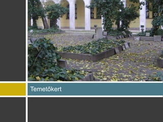 Temet?kert
 