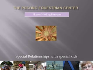 The Pocono Equestrian Center Horses Healing Humans Special Relationships with special kids 