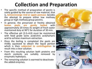 Pectin Processing Pectin- Carbohydrate from fruits | PPTX