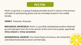 presentation of pectin for student .pptx