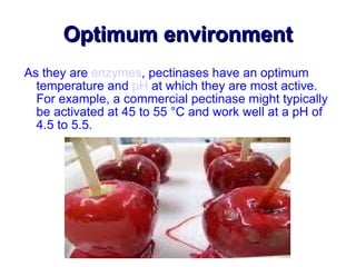 Optimum environment As they are  enzymes , pectinases have an optimum temperature and  pH  at which they are most active. For example, a commercial pectinase might typically be activated at 45 to 55 °C and work well at a pH of 4.5 to 5.5. 