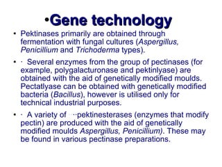 Gene technology Pektinases primarily are obtained through fermentation with fungal cultures ( Aspergillus, Penicillium  and  Trichoderma  types). · Several enzymes from the group of pectinases (for example, polygalacturonase and pektinlyase) are obtained with the aid of genetically modified moulds. Pectatlyase can be obtained with genetically modified bacteria ( Bacillus ), however is utilised only for technical industrial purposes. · A variety of  ·· ··pektinesterases  (enzymes that modify pectin) are produced with the aid of genetically modified moulds  Aspergillus, Penicillium) . These may be found in various pectinase preparations. 