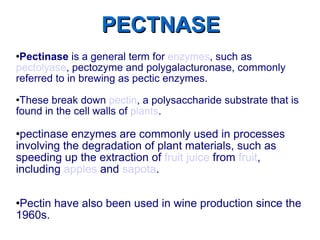 PECTNASE Pectinase  is a general term for  enzymes , such as  pectolyase , pectozyme and polygalacturonase, commonly referred to in brewing as pectic enzymes.  These break down  pectin , a polysaccharide substrate that is found in the cell walls of  plants . pectinase enzymes are commonly used in processes involving the degradation of plant materials, such as speeding up the extraction of  fruit juice  from  fruit , including  apples  and  sapota . Pectin have also been used in wine production since the 1960s. 