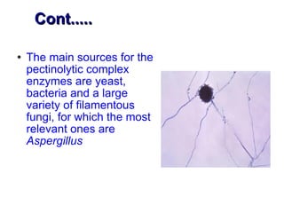 Cont..... The main sources for the pectinolytic complex enzymes are yeast, bacteria and a large variety of filamentous fungi, for which the most relevant ones are  Aspergillus 