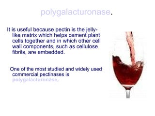 polygalacturonase . It is useful because pectin is the jelly-like matrix which helps cement plant cells together and in which other cell wall components, such as cellulose fibrils, are embedded. One of the most studied and widely used commercial pectinases is  polygalacturonase . 