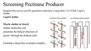 Pectinase Structure Pectinolytic enzymes like Pectinase.pptx